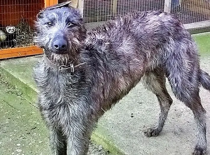 imgi_43_7b1c79_7fb2b241dd6747b5944352f21d075ac3~mv2