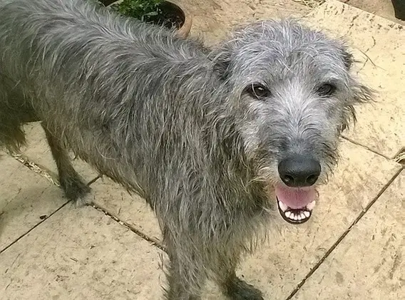 imgi_4_7b1c79_e881deec32ec435e8600ded0fb16cb99~mv2