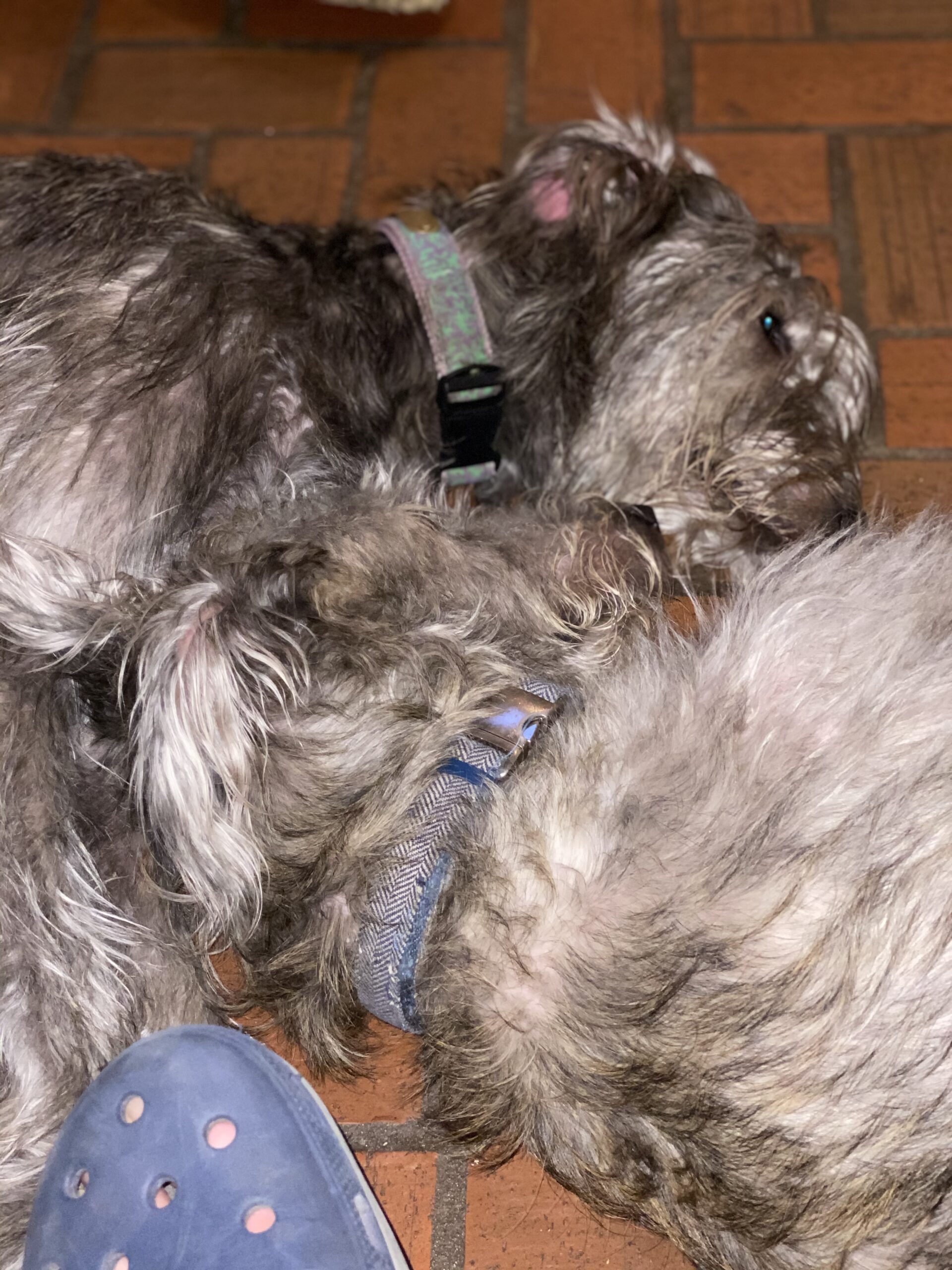 20200606_035708860_iOS