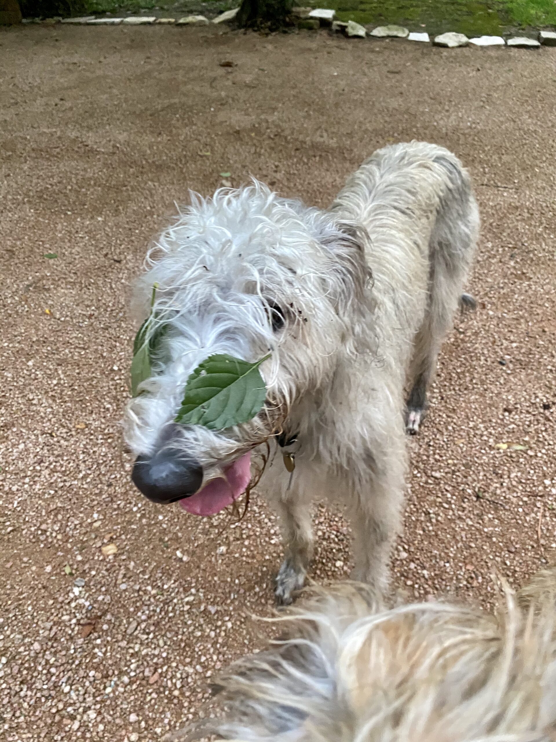 20200623_011151518_iOS