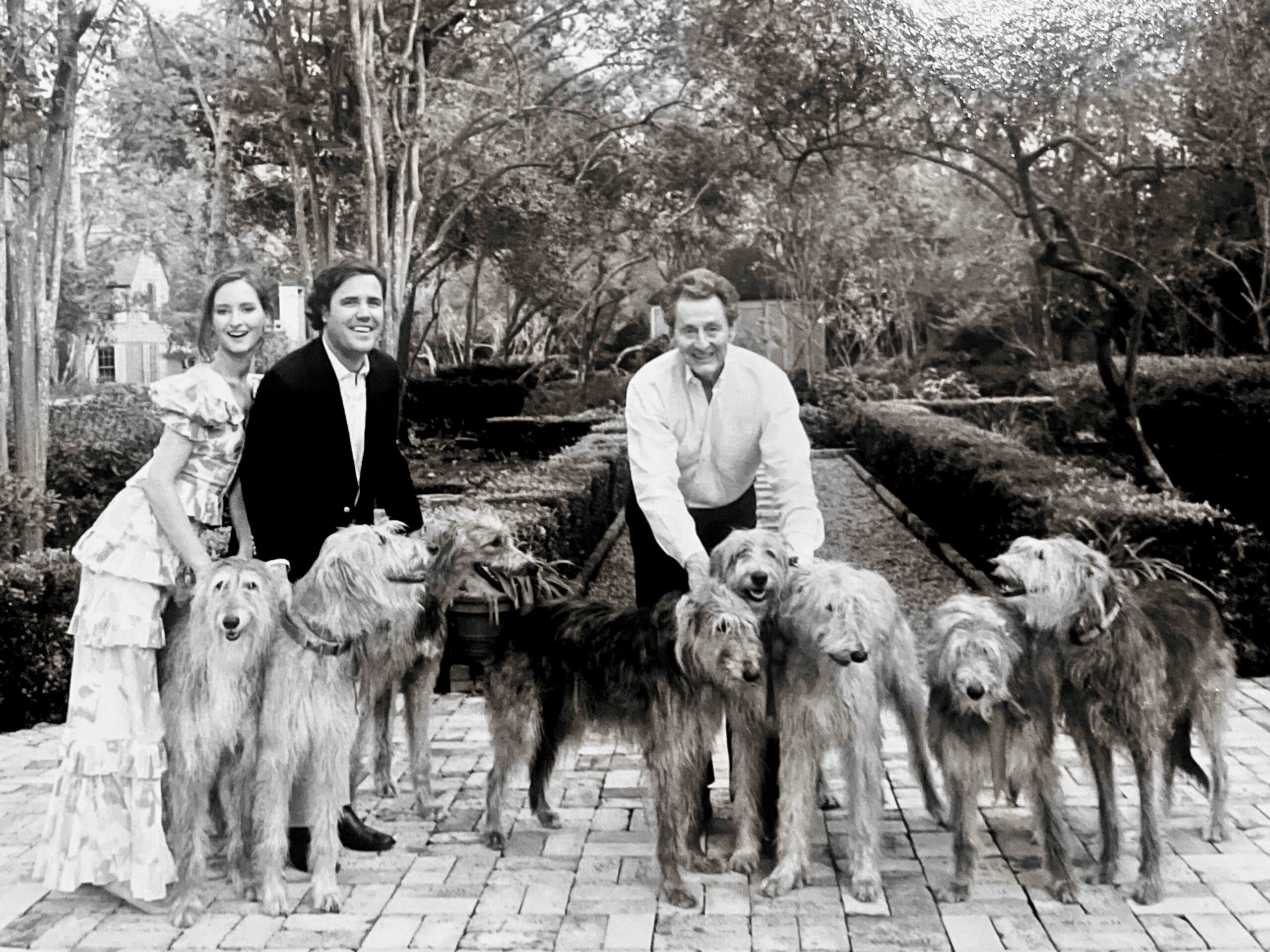 20211224_004449905_iOS