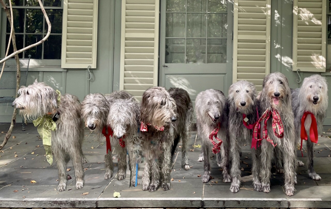 Facetune_03-11-2022-11-00-03