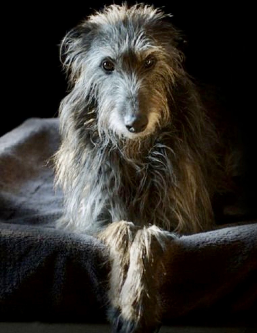 Screenshot 2022-07-14 at 10.46.09 AM