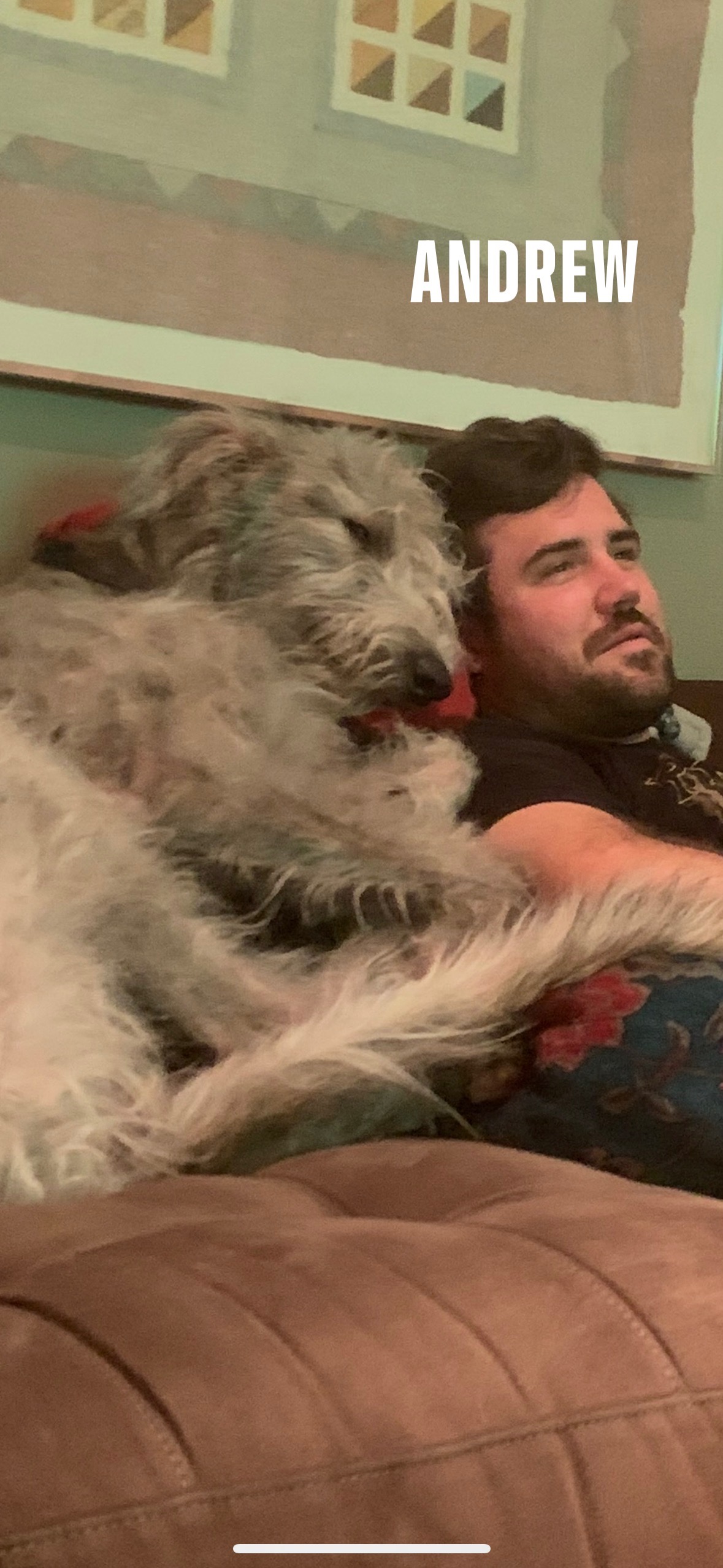 Screenshot 2022-10-23 at 3.05.52 PM